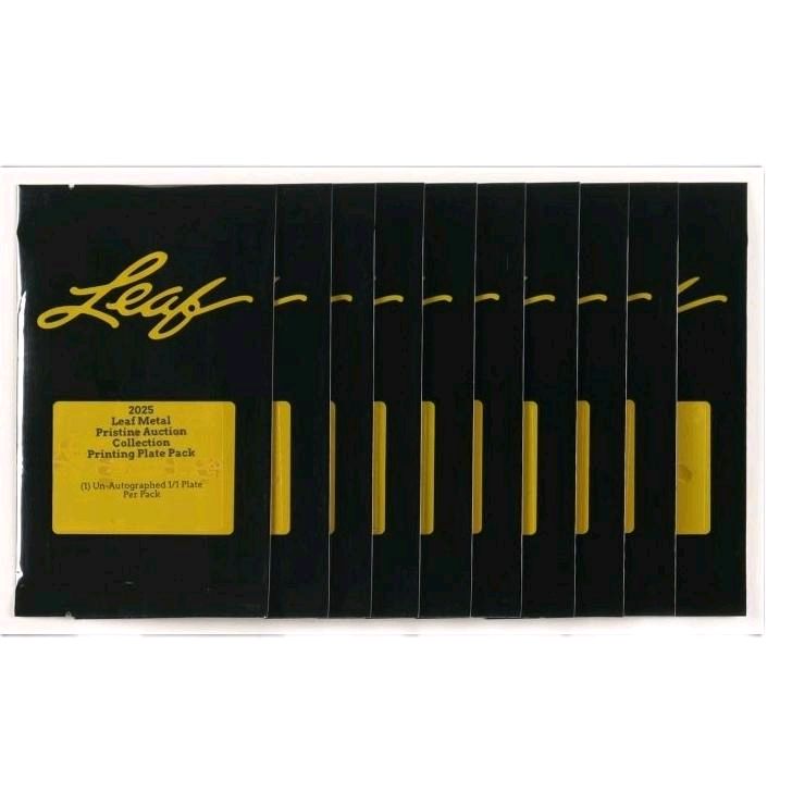 2025 Leaf 1 of 1 Autographed Polaroid Photo W/ Random Inscriptions