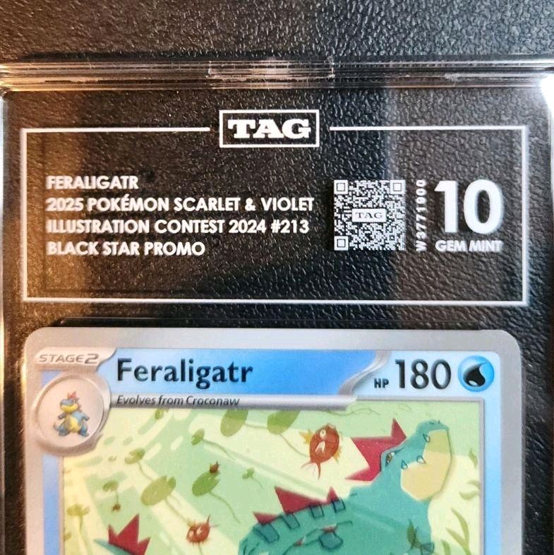 Feraligatr 2025 Pokémon Scarlet & Violet Illustration Contest 2024 #213 Black Star Promo Card